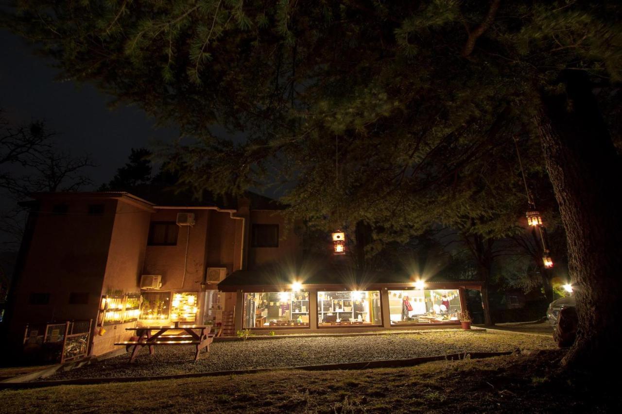 The Hostelhouse Centro. Casa De Huespedes. Villa General Belgrano Eksteriør bilde